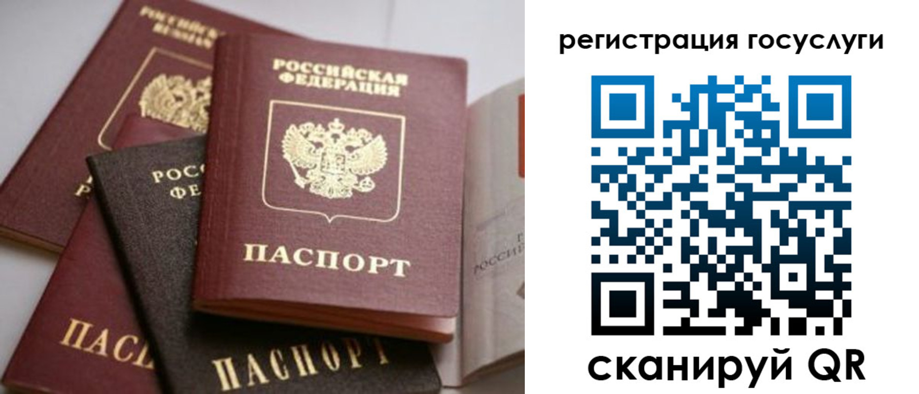 пропишу в квартире в Архангельской области